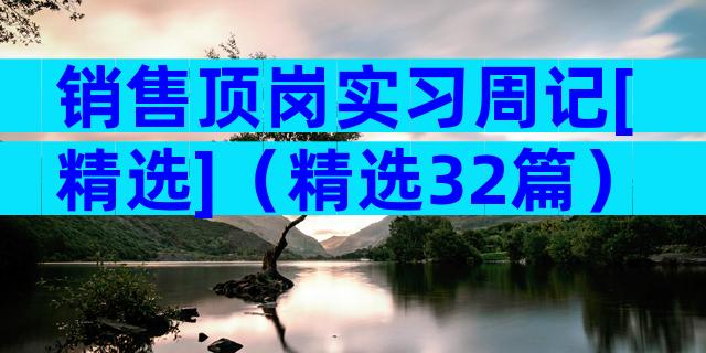 销售顶岗实习周记[精选]（精选32篇）